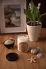 East Coast Ocean Air Soy Candle - 8 oz
