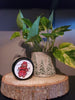 Gingerbread Candle - 8oz