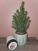 Santa's Workshop Candle - 8 oz  (renamed Santa's Pipe in 2024)