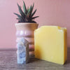 Citrus Blend Bar Soap